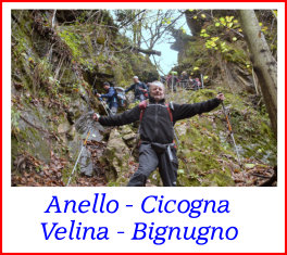 Anello Cicogna Velina Bignugno22nov18