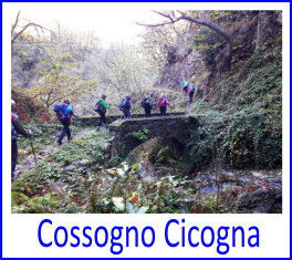CossognoCicogna10nov22