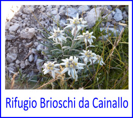 Grignone da Cainallo10Lug22